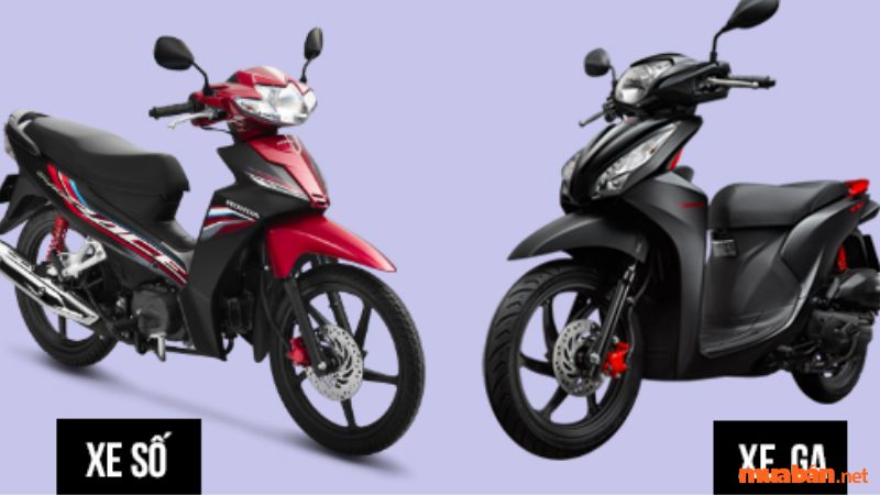 Nên chọn xe ga hay xe số? So sánh 